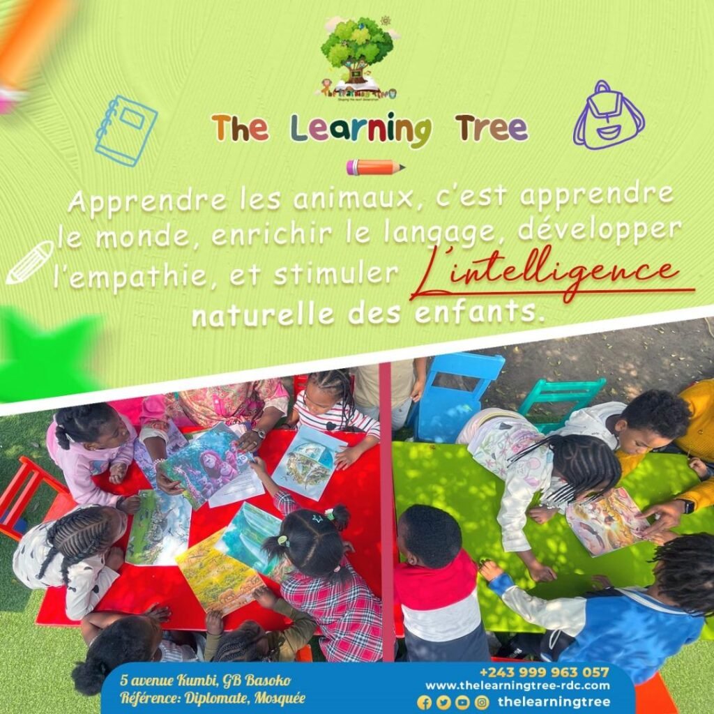 WhatsApp Image 2025-08-04 à 13.24.49_f0e90dd7