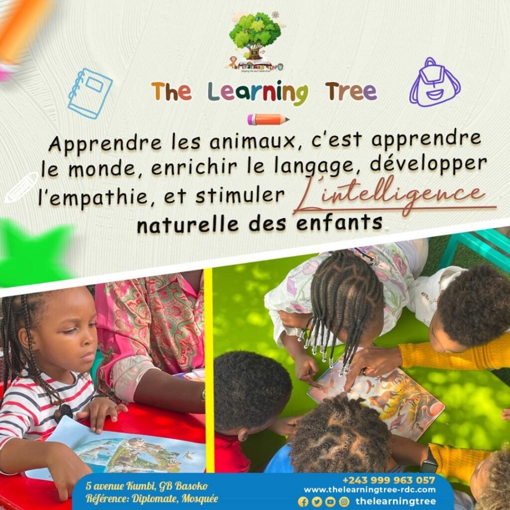 WhatsApp Image 2025-08-04 à 13.24.50_4c9e92b5